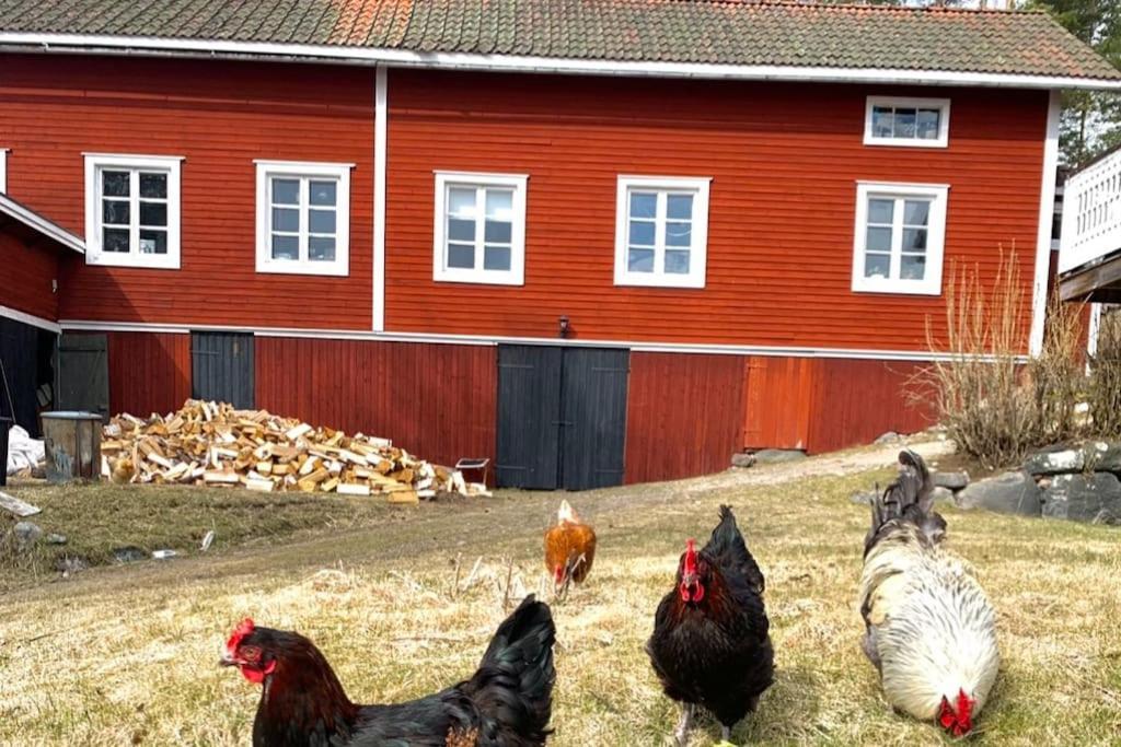 Egen Stuga Och Vedeldad Bastu Linghed Esterno foto