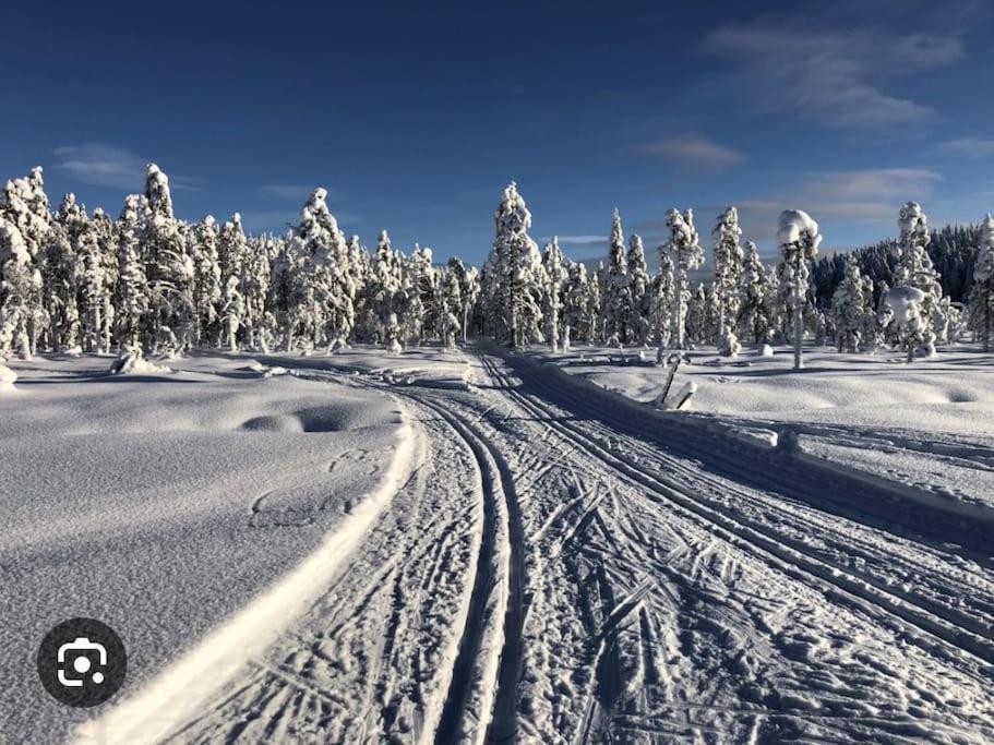 Egen Stuga Och Vedeldad Bastu Linghed Esterno foto